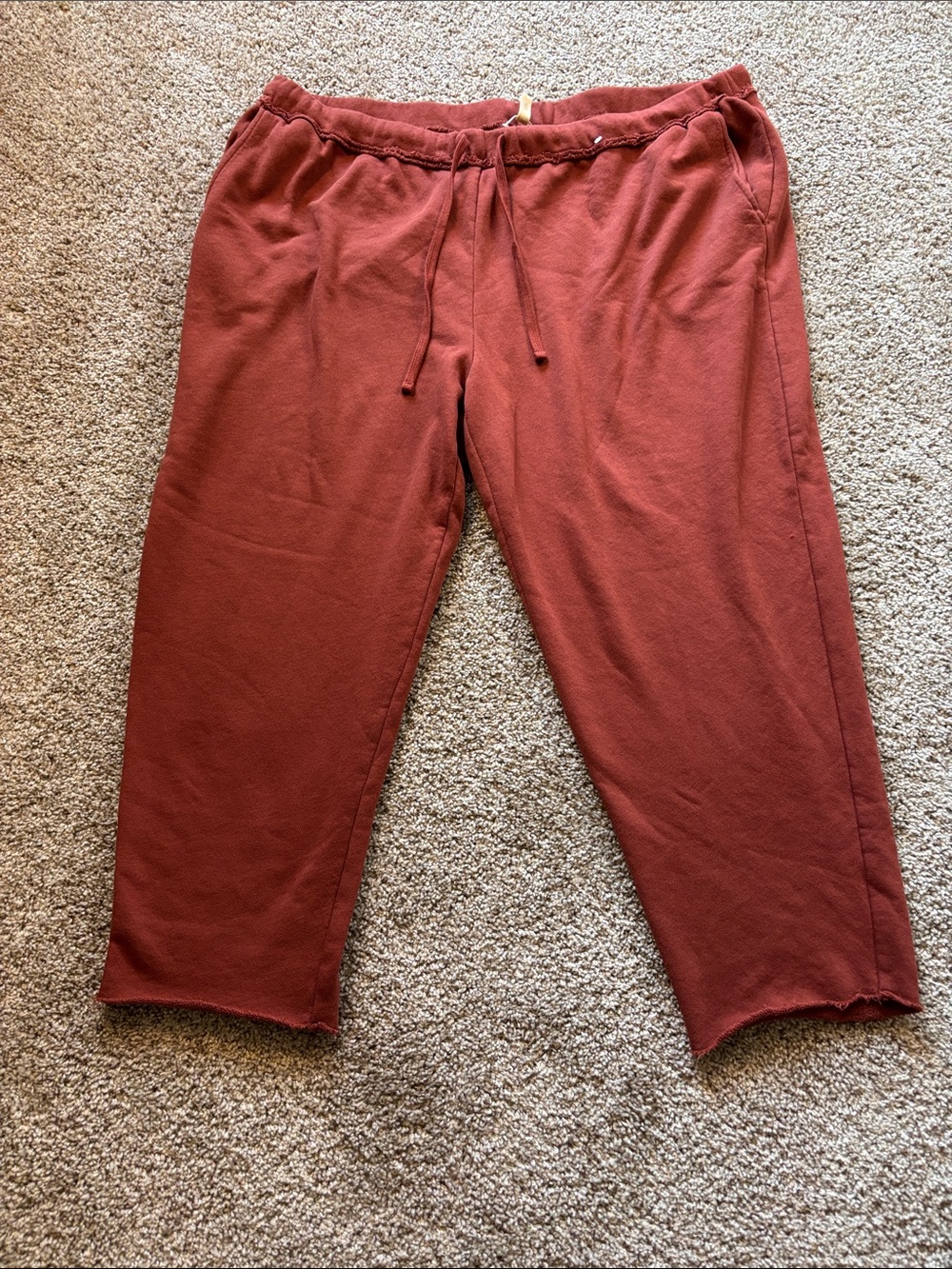Eileen Fisher Cotton Fleece Pants Relax Fit, 3X NWT